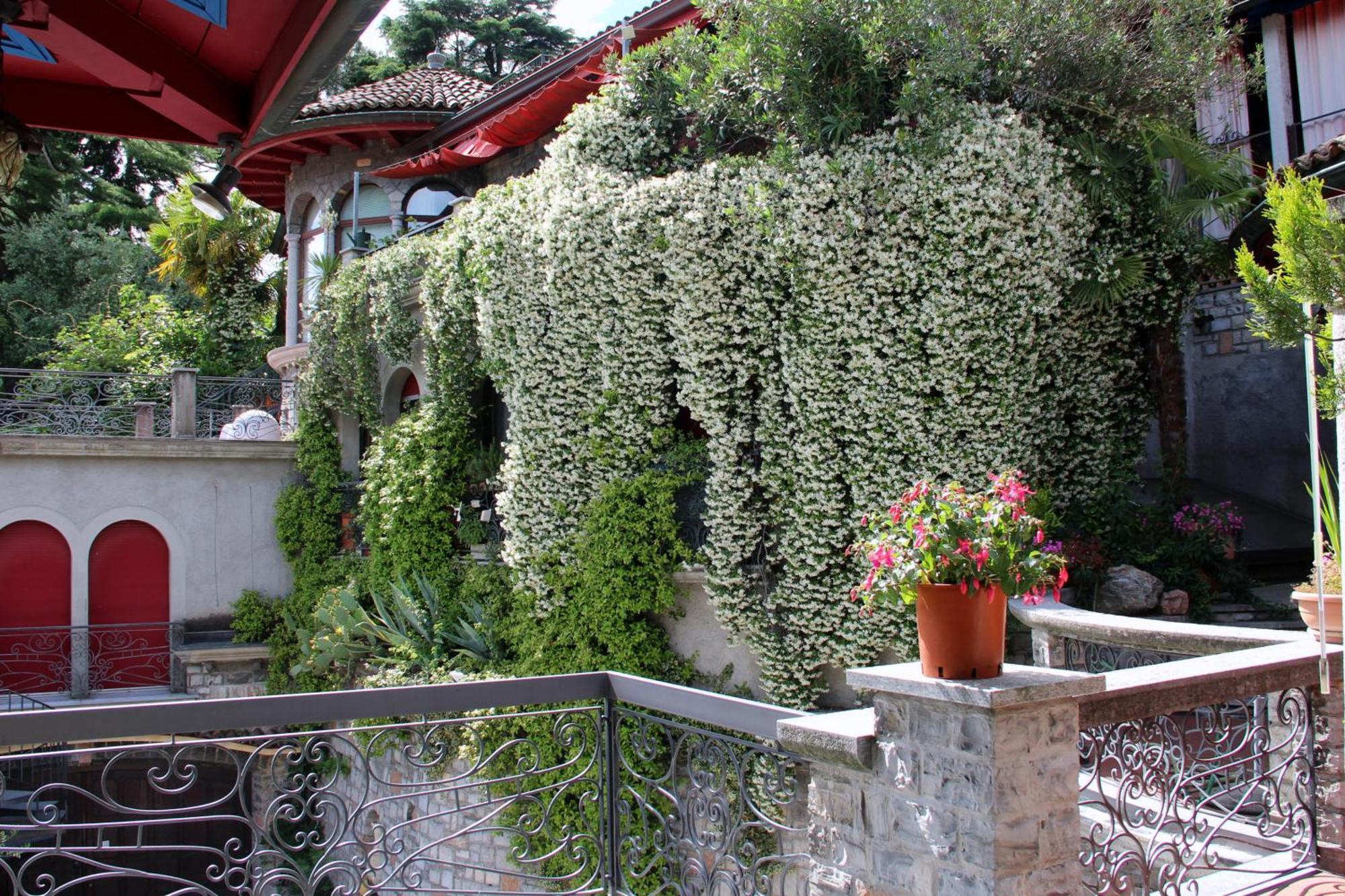 Barony Le Pergole Holiday Apartments Lugano Exterior photo