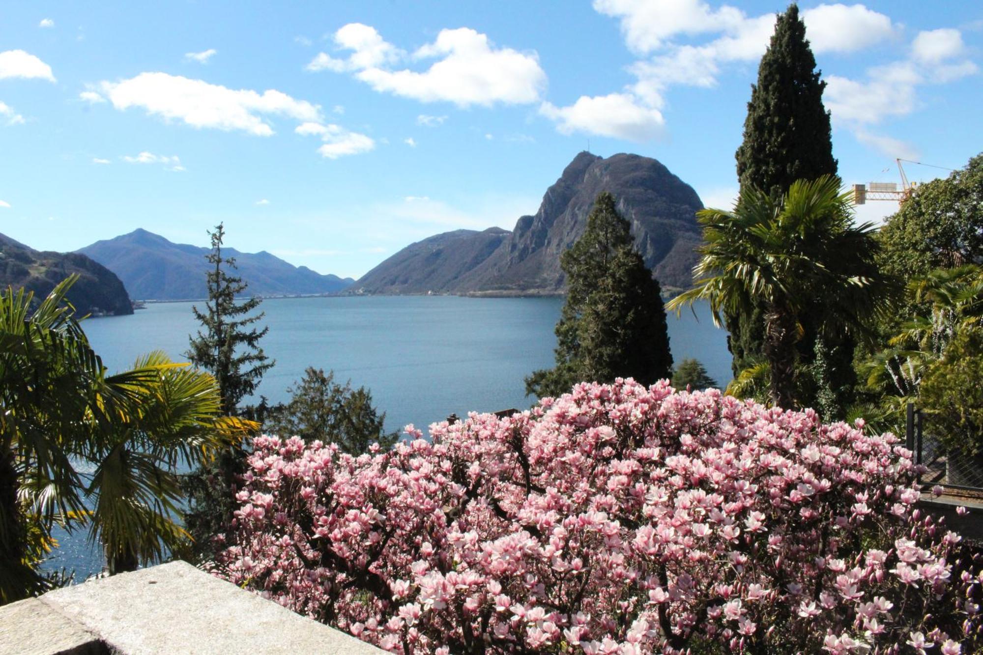 Barony Le Pergole Holiday Apartments Lugano Exterior photo
